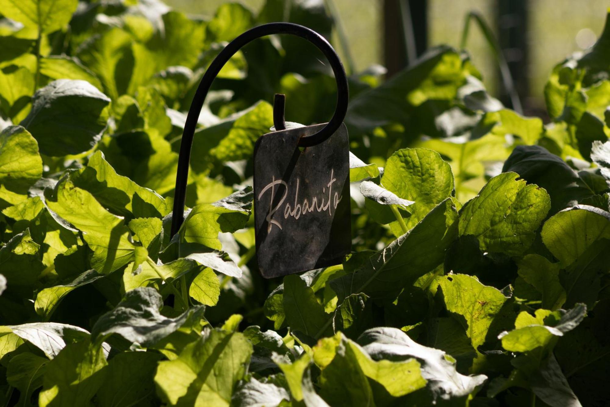 El Colibri - Relais & Chateaux Santa Catalina  Bagian luar foto